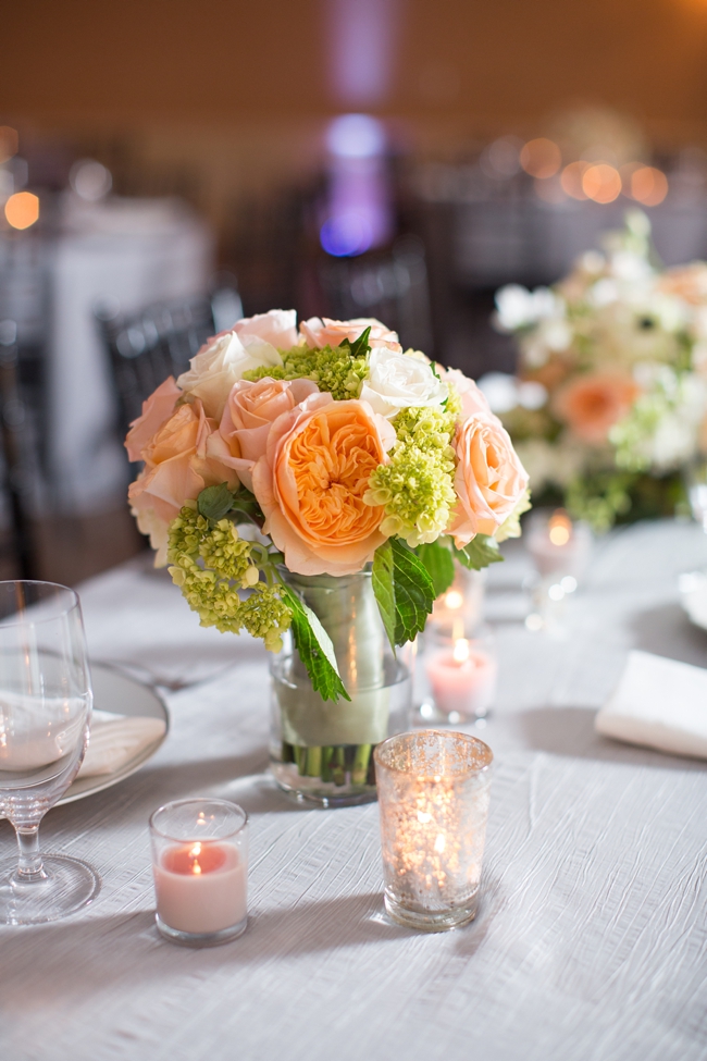Steven & Cara a pastel Charlottesville wedding at the University of